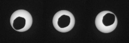 2013-08-17 sol369 Прохождение
      Фобоса по диску Солнца