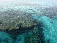 A Coral reef near Tyrant
      island in Red sea. At far side of the reef there is an old rusted
      ship.