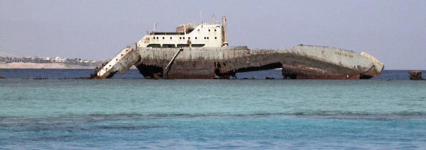 Ржавеющий корабль
      Луллия, выброшенный на коралловый риф