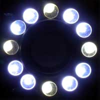 Кольцо из 12 светящихся светодиодов.
      4 - белые, 4 - голубоватые.