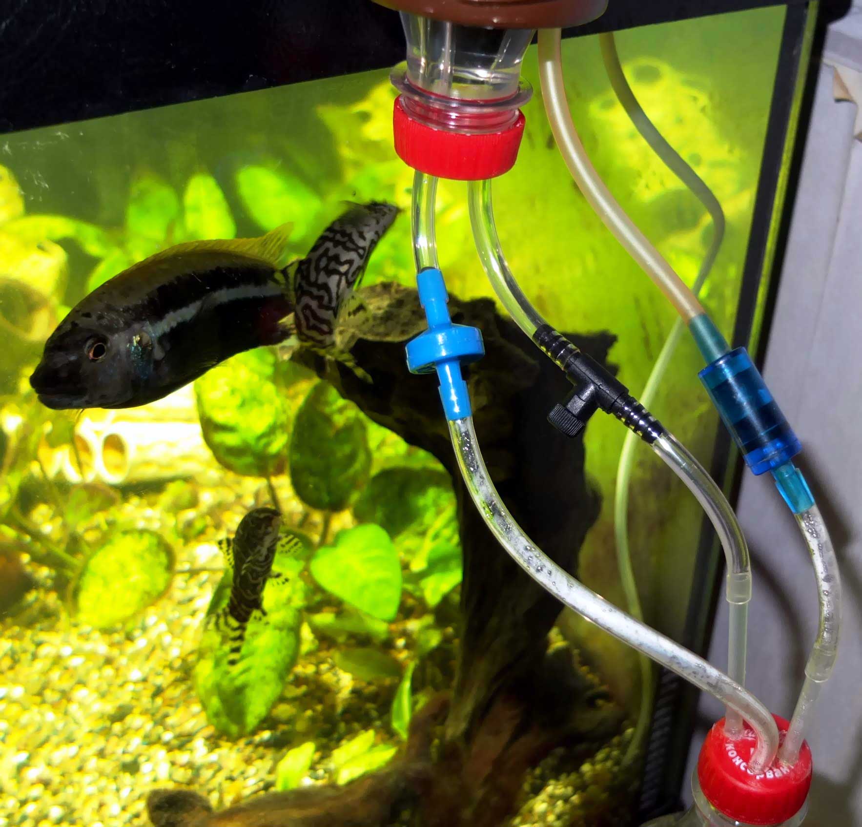 Брагогенератор СО2 - Растения в аквариуме - Каталог статей - Каталог статей - Аквариумные рыбки